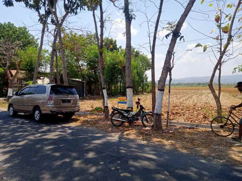 dijual tanah desa mentoro kec soko kab tuban