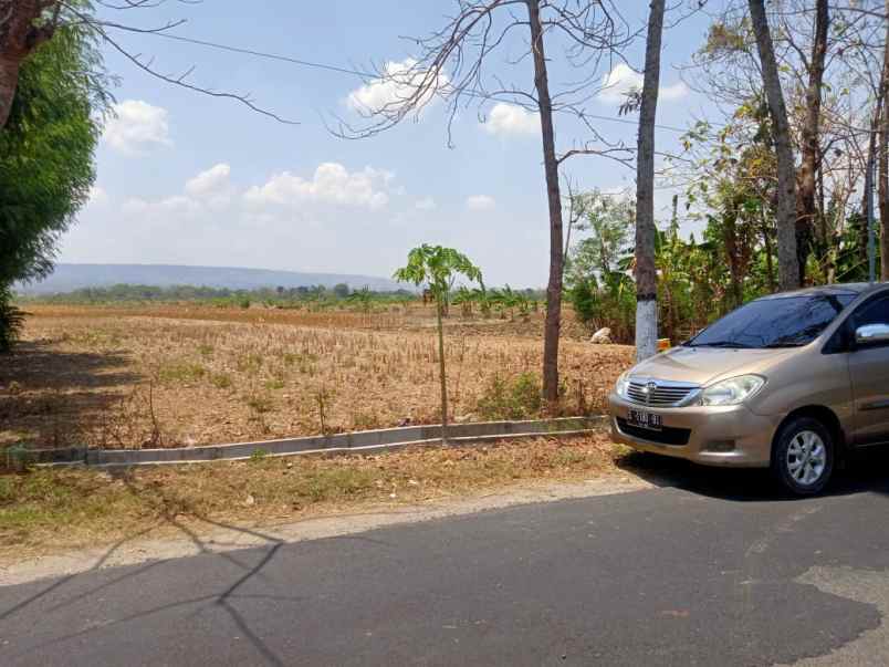 dijual tanah desa mentoro kec soko kab tuban