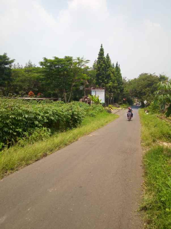 dijual tanah desa pakuhaji kecamatan