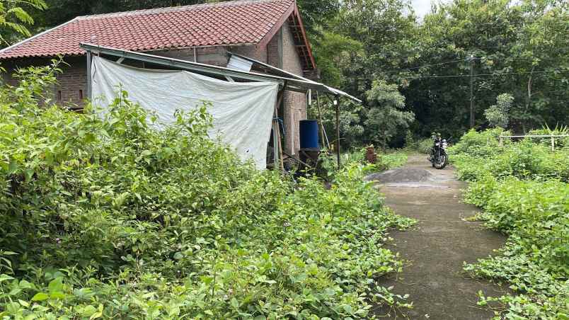 dijual tanah desa tepisari polokarto