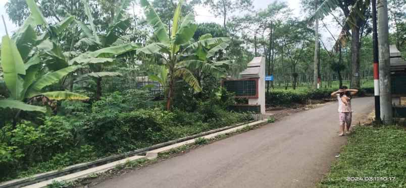 dijual tanah dijual tanah di agro