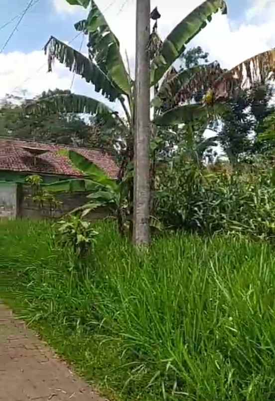 dijual tanah dijual tanah di gg