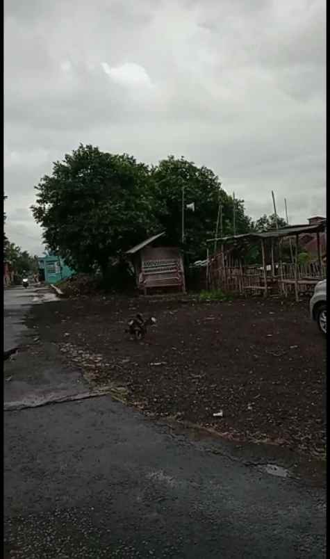 dijual tanah dijual tanah di jl cipanas