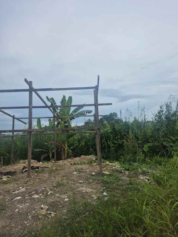 dijual tanah dijual tanah di jl jakarta