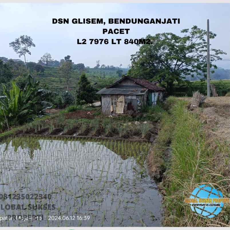 dijual tanah dsn glingsem ds