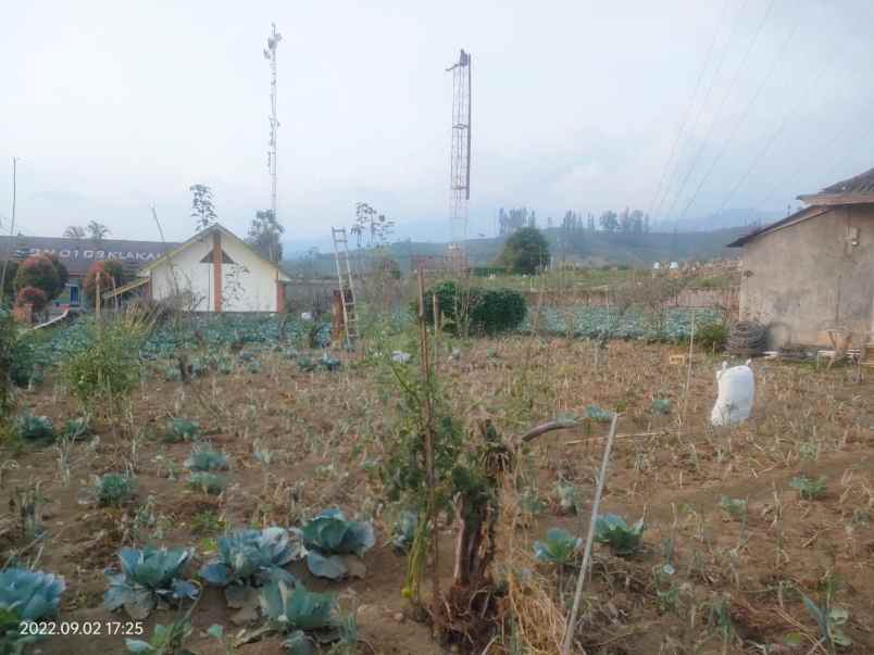 dijual tanah gubuk klakah