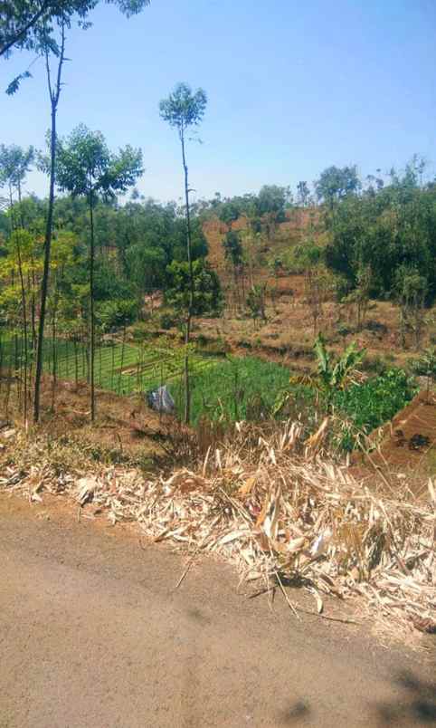 dijual tanah jalan babakan mantri