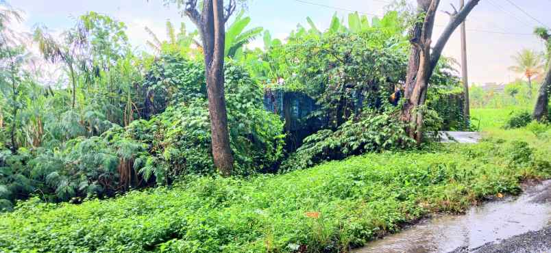 dijual tanah jalan ida bagus mantra