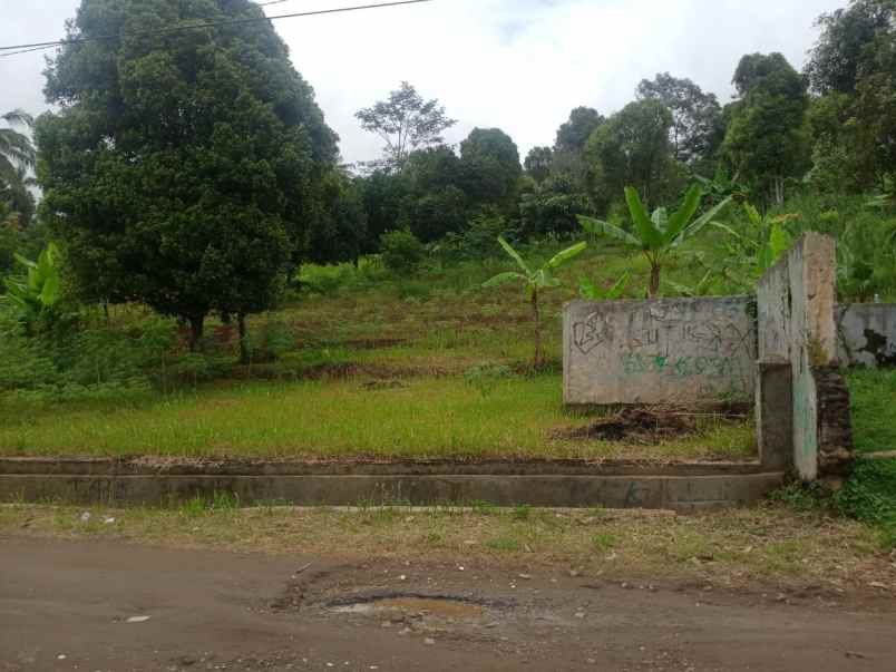 dijual tanah jalan pojok sadang desa