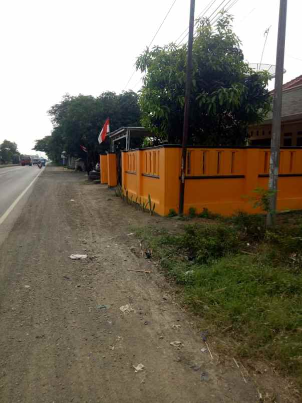 dijual tanah jalan raya pantura desa