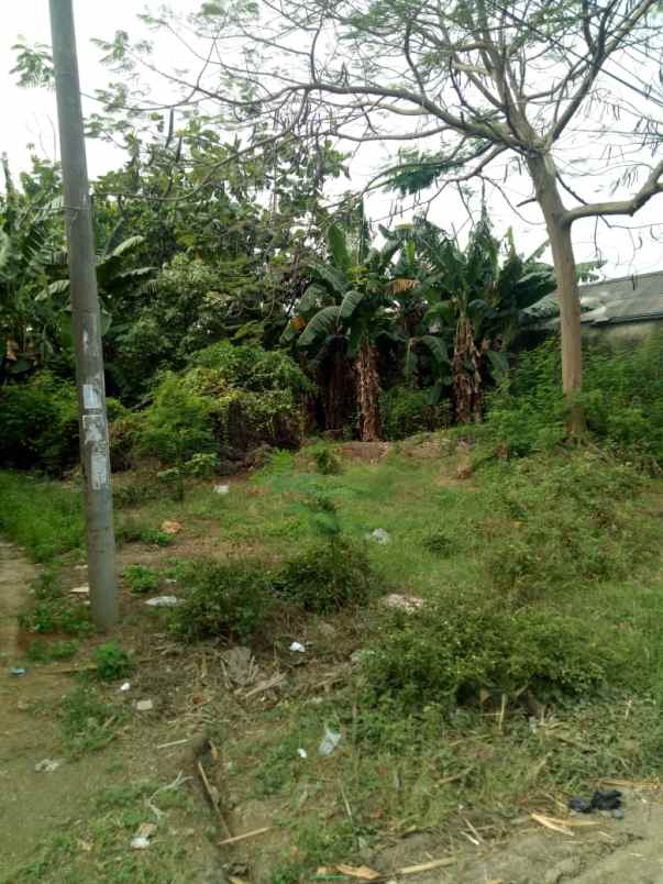 dijual tanah jalan raya pantura desa