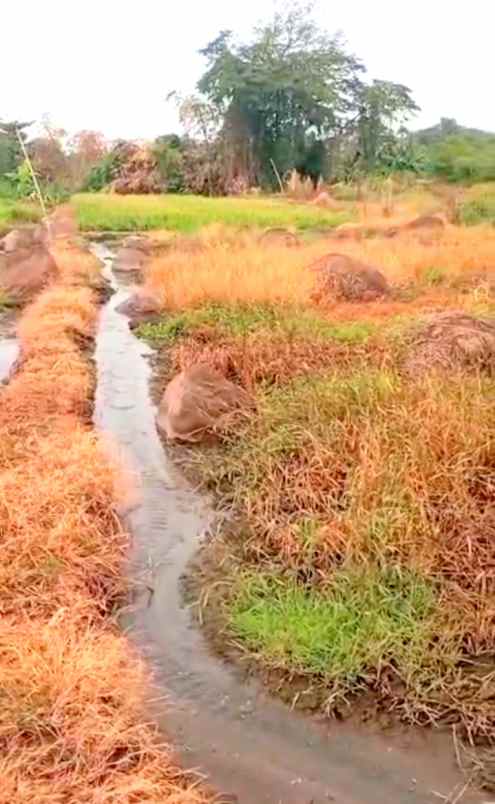 dijual tanah janti klaten