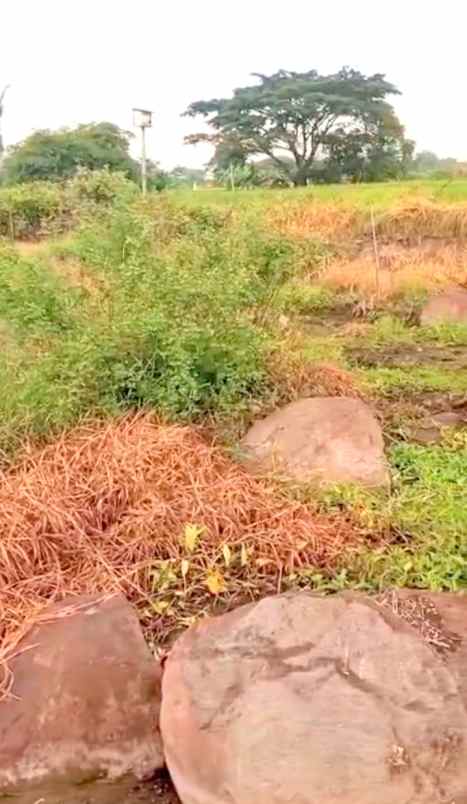 dijual tanah janti klaten