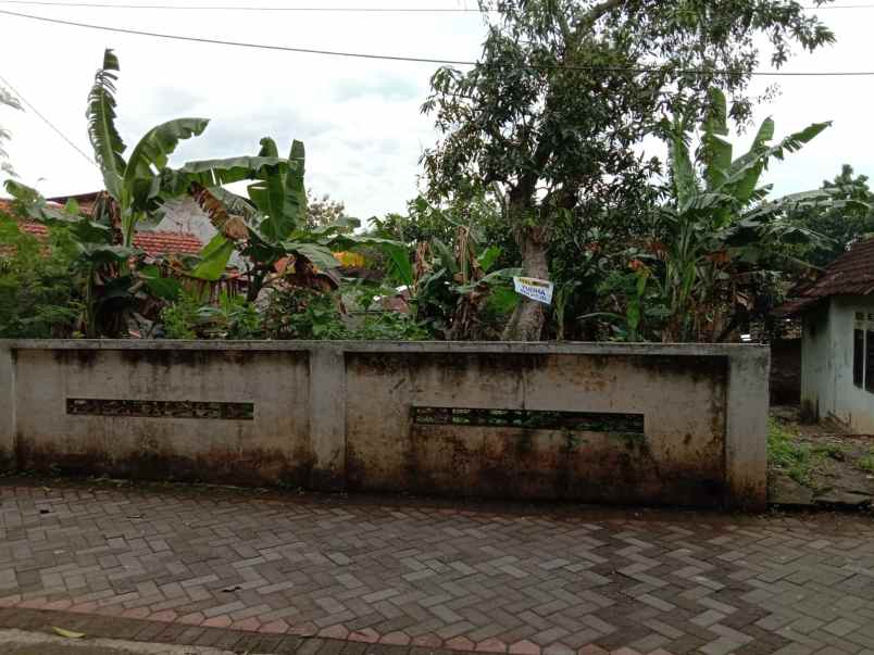 dijual tanah jatingaleh