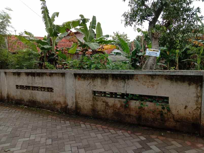 dijual tanah jatingaleh