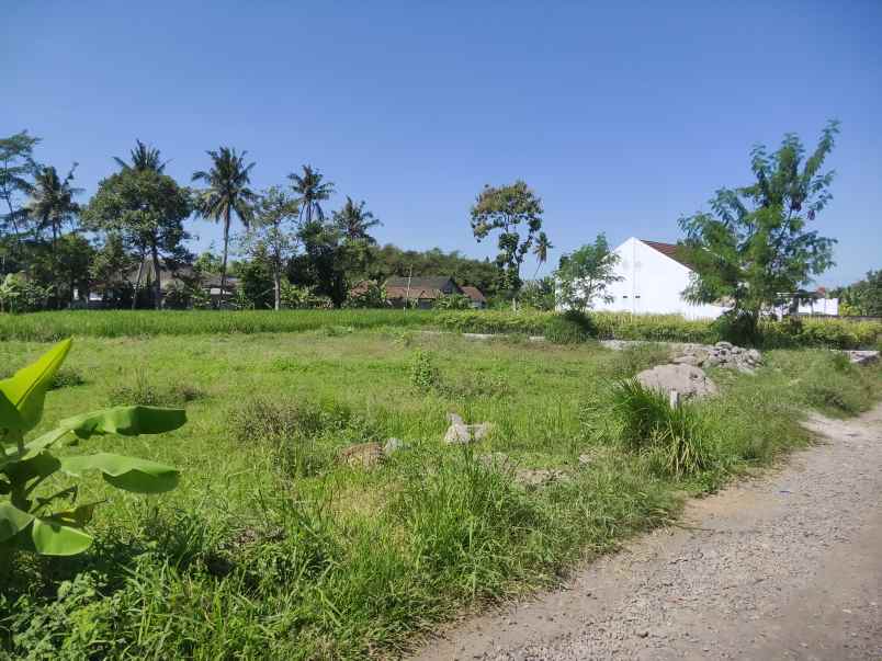 dijual tanah jetis baran sardonoharjo