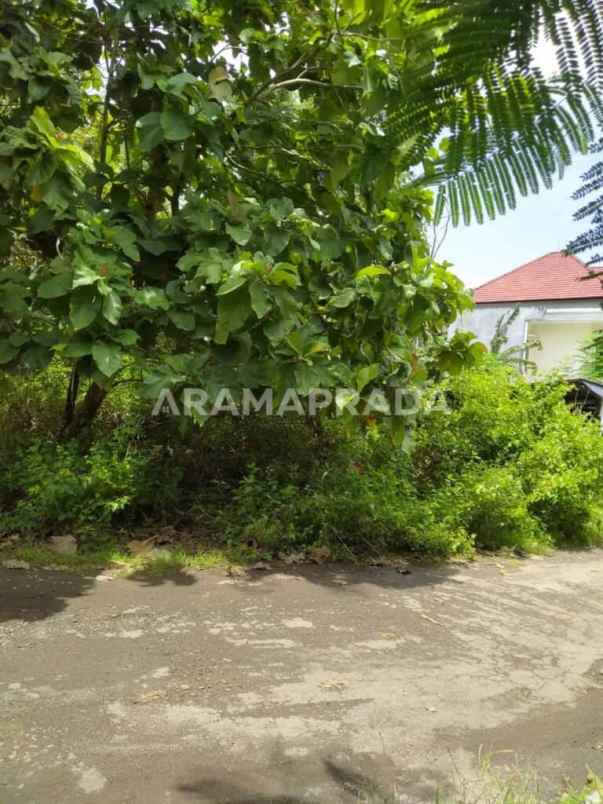 dijual tanah jimbaran