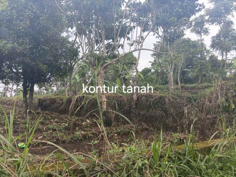 dijual tanah jl h gofur
