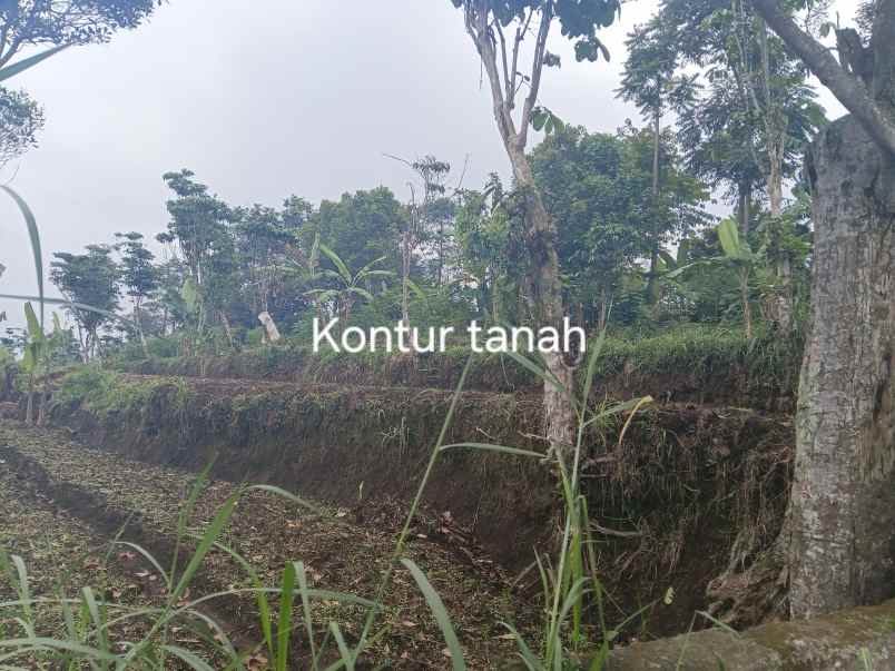 dijual tanah jl h gofur
