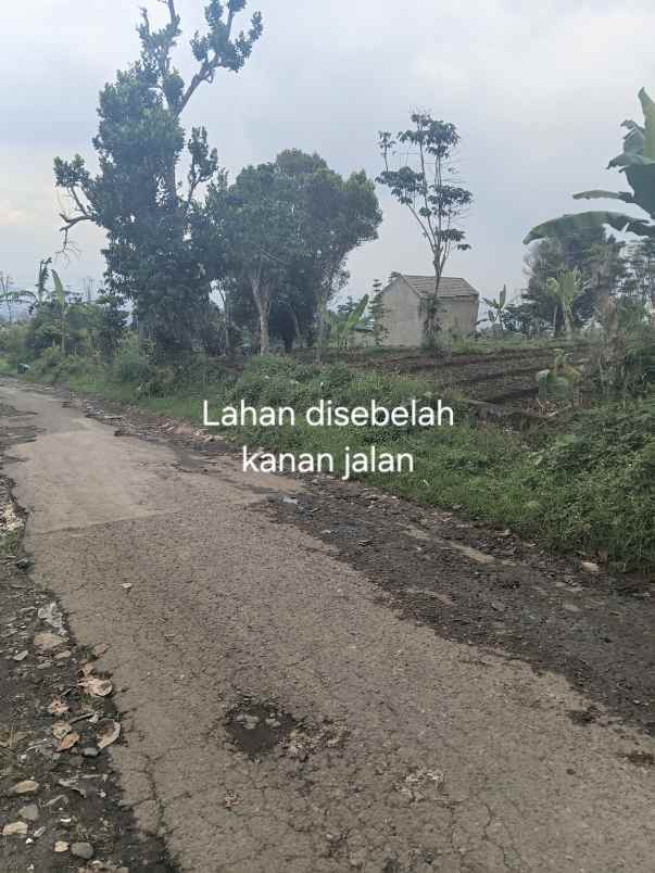 dijual tanah jl h gofur