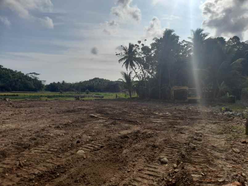 dijual tanah jl jogja purworejo bojong