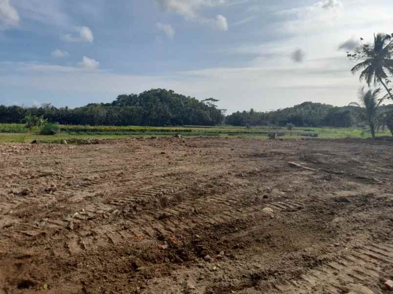 dijual tanah jl jogja purworejo bojong