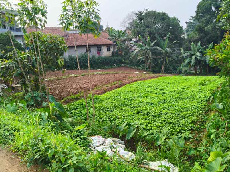 dijual tanah jl kp setu bojong