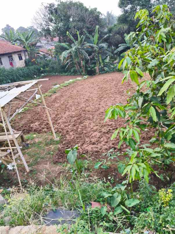 dijual tanah jl kp setu bojong