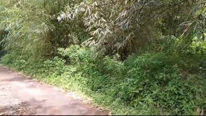 dijual tanah jl pasir teureup cijenuk