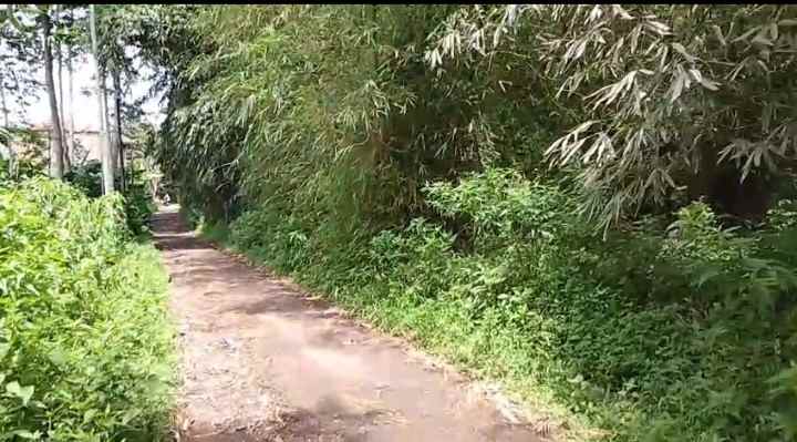 dijual tanah jl pasir teureup cijenuk