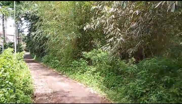 dijual tanah jl pasir teureup cijenuk