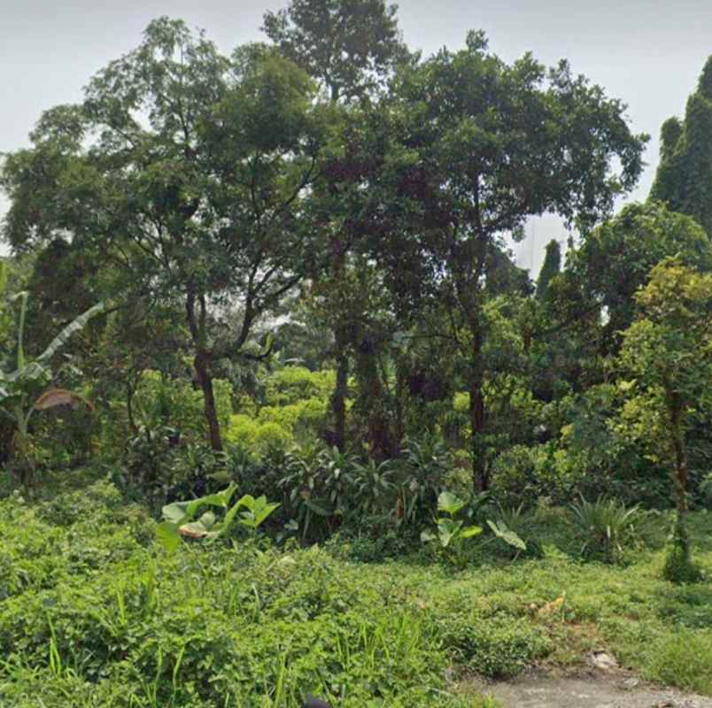 dijual tanah jl raya ciapus buniaga