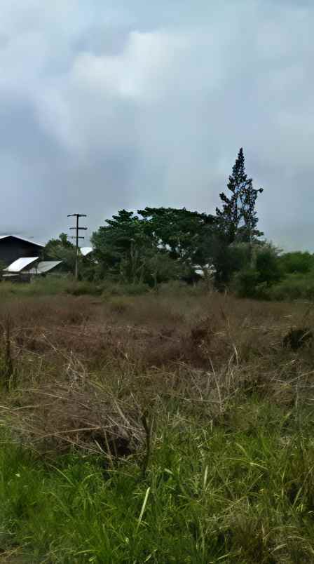 dijual tanah jl raya widang