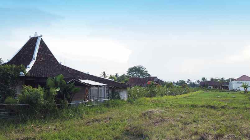 dijual tanah jl sawah joglo lojajar