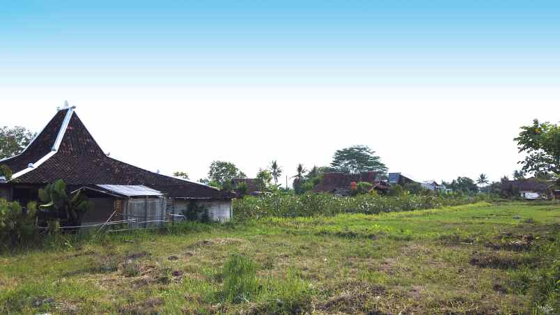 dijual tanah jl sawah joglo lojajar