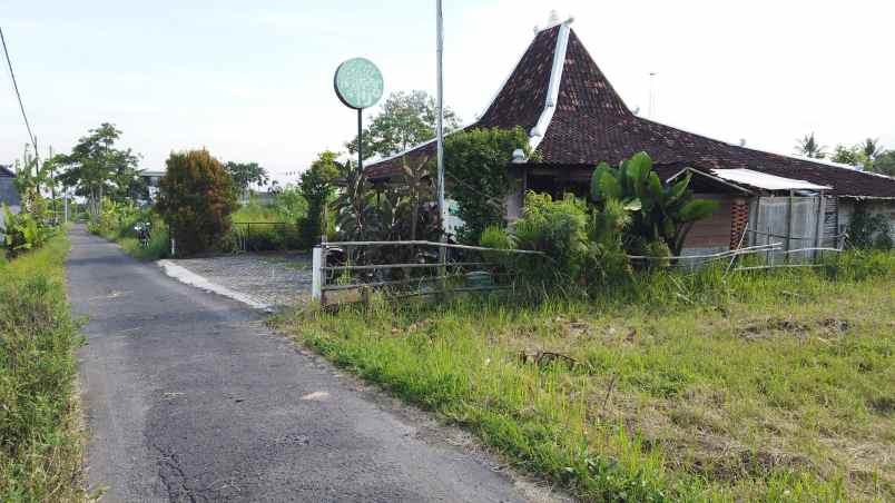 dijual tanah jl sawah joglo lojajar