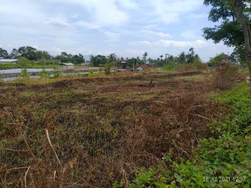 dijual tanah jl tembus blabak boyolali