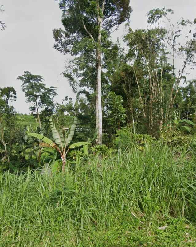 dijual tanah kalipucang