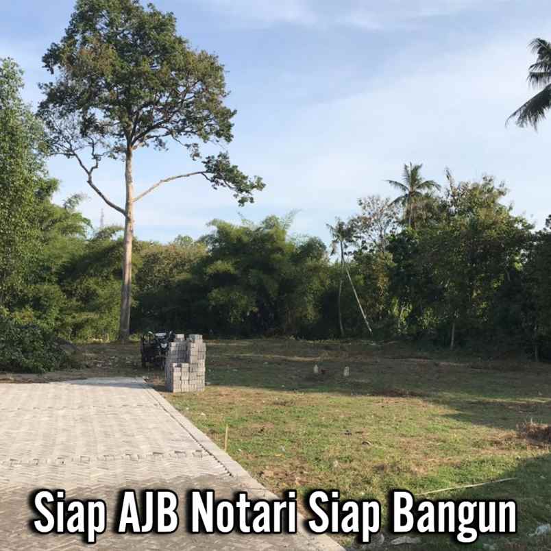 dijual tanah kasihan tamantirto bantul