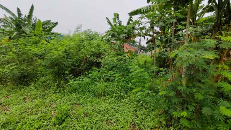 dijual tanah kaveling bima fajar