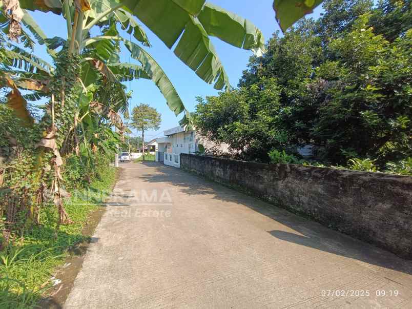 dijual tanah kayu manis tanah sareal bogor
