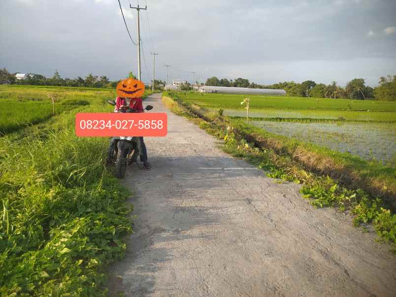 dijual tanah kedungu tabanan bali