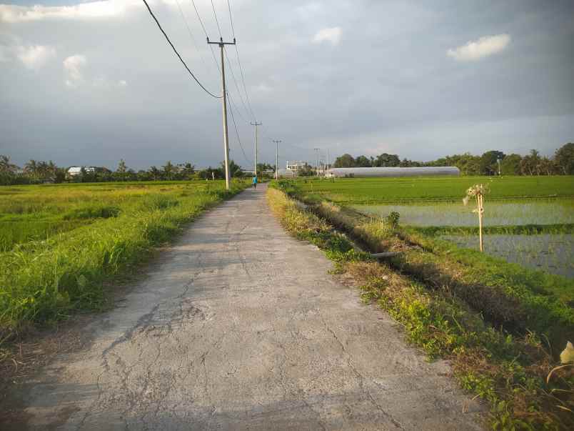 dijual tanah kedungu tabanan bali