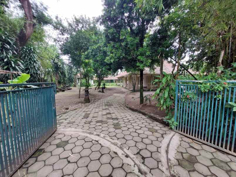 dijual tanah luas dekat pusat kota jogja shm