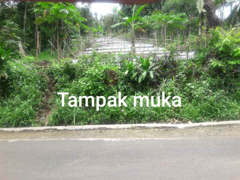 dijual tanah mulyasari