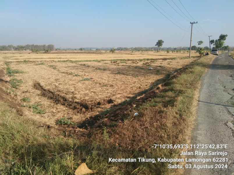 dijual tanah murah tikung lamongan