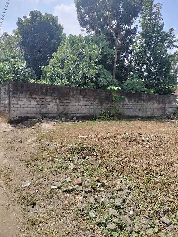 dijual tanah ngawen trihanggo gamping
