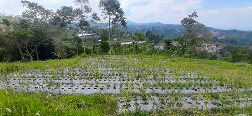 dijual tanah pagerwangi