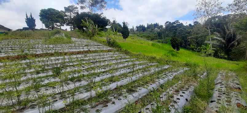 dijual tanah pagerwangi