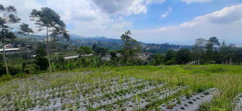 dijual tanah pagerwangi